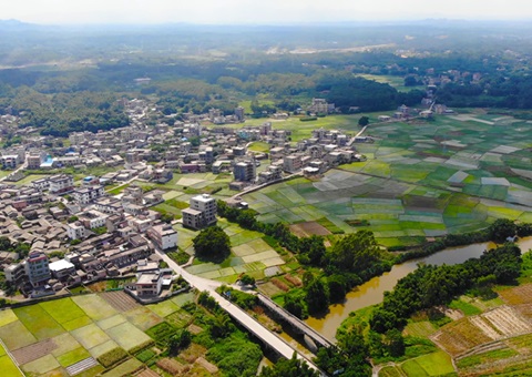广西：农地入市  收益共享<br>自然资源部门加强政策指导和技术服务