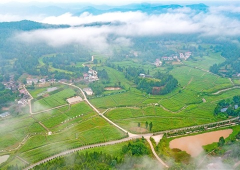 遂宁市守住耕地“命根子” &nbsp;沃野千里织锦绣