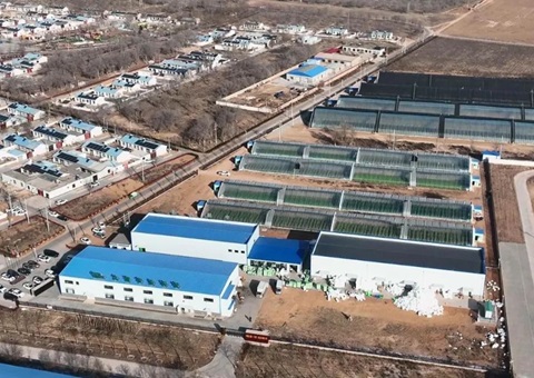 成交金额8416.32万元   宁夏探索出农村集体经营性建设用地入市新路径
