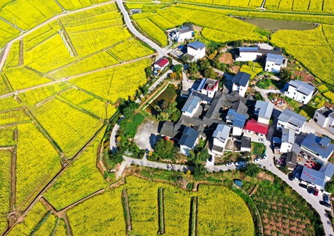 205.7亿元！  四川财政下达2025年衔接推进乡村振兴补助资金
