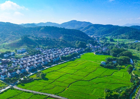 安徽推动构建城乡统一建设用地市场  要素保障多点发力“激活”乡村振兴