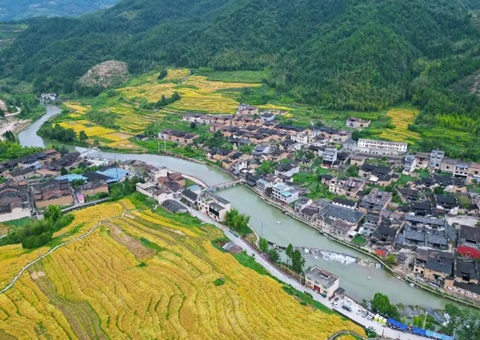 福建加快推动“农地入市”   唤醒农村“沉睡”资产
