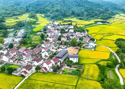 安徽省自然资源厅：130个乡镇耕地保唬；；；；；こ杉ㄍ怀 获补偿激励1.3亿元