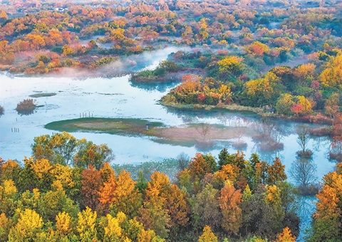 浙江杭州打造国际湿地城市标杆